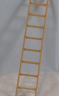 LADDER